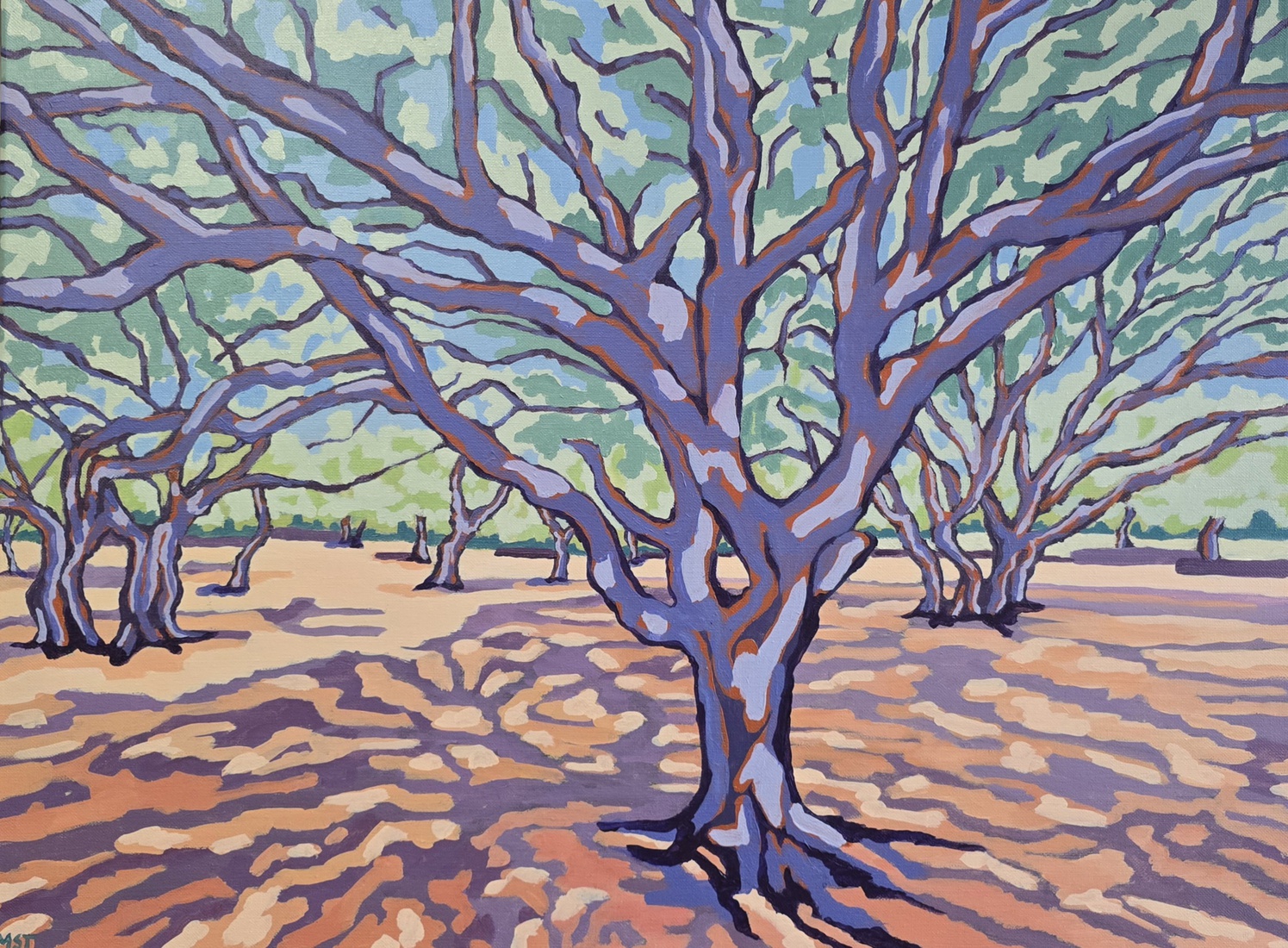 Schaduwspel - Corsica