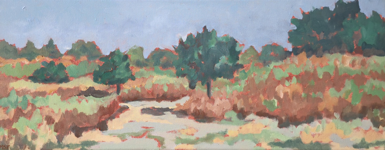Duinen De Zilk