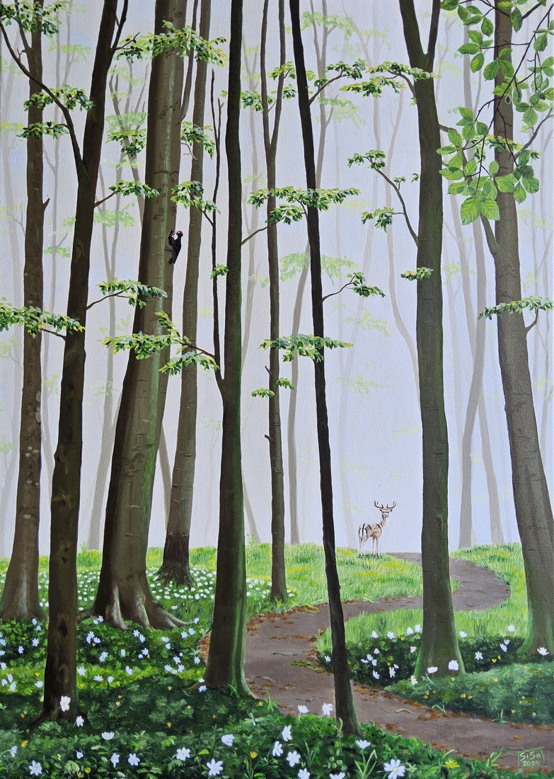 Spring Forest