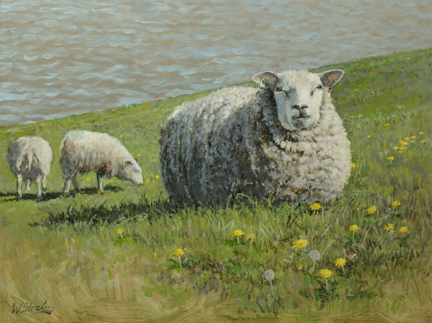 Schapen op zeedijk