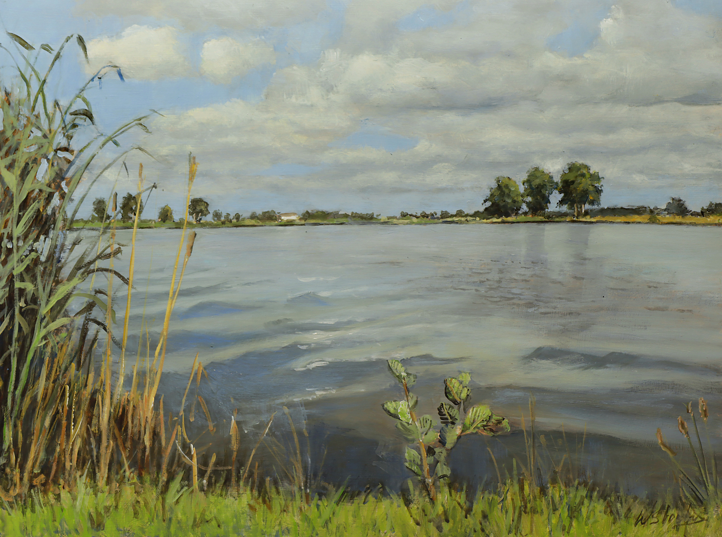 Meertje Zwaan 