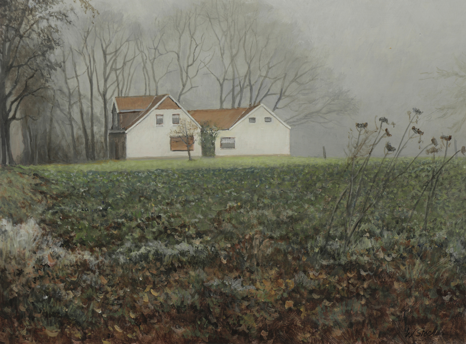Huis in mist