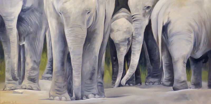 olifanten familie