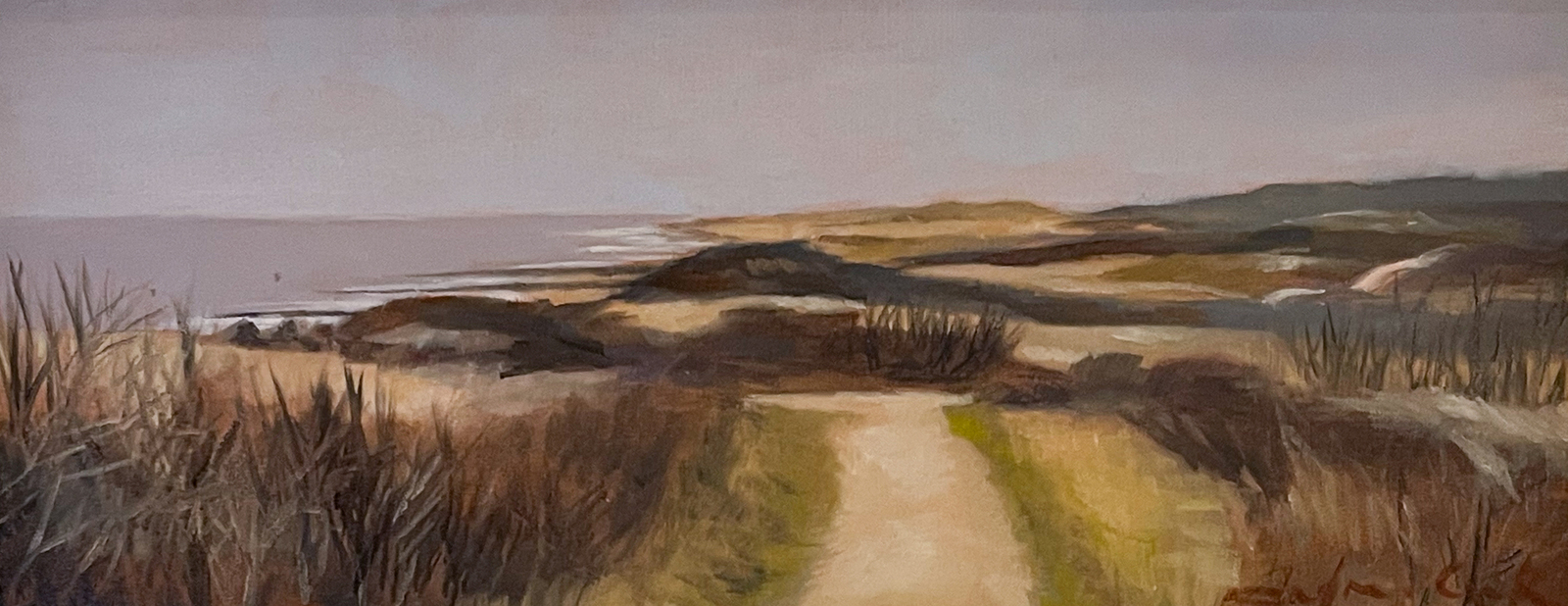 Duinlandschap 
