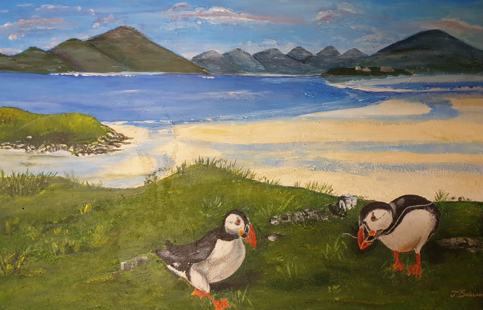 Papegaaiduikers Schotland 