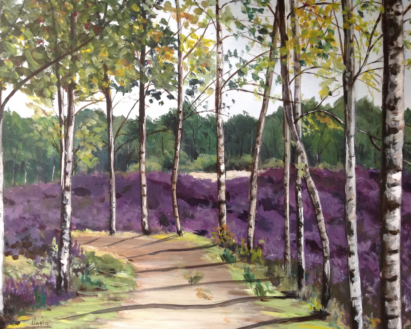 Staartse Heide in augustus