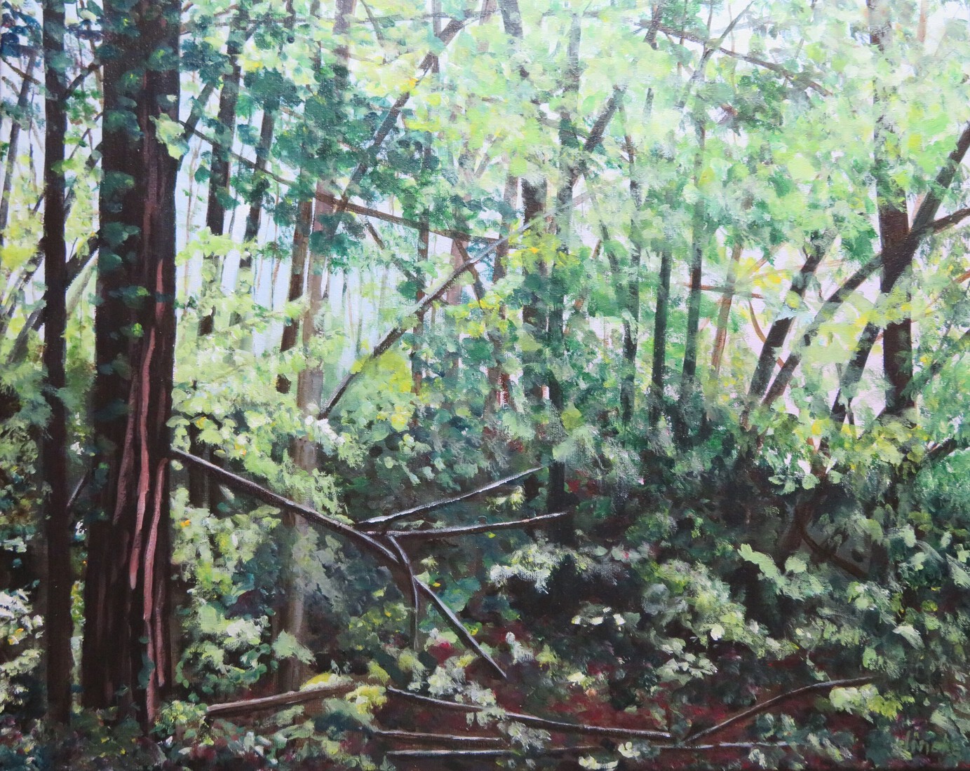 Struinpad langs de Zoom