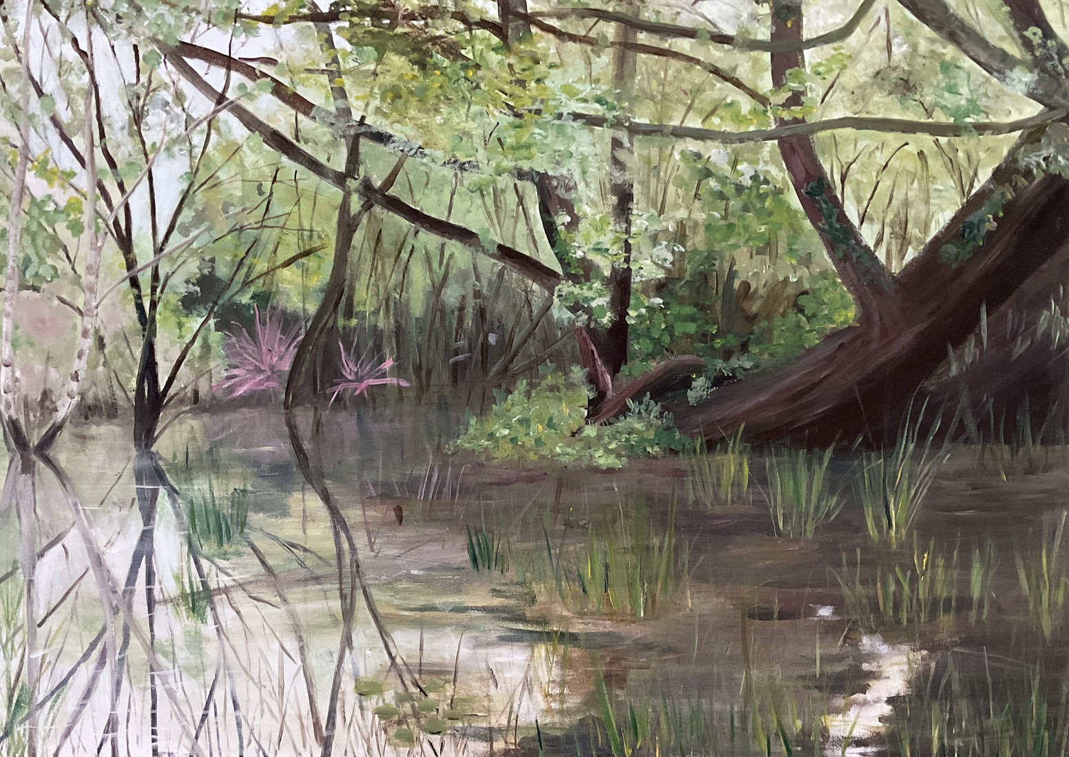 Verklikkerduin na de regen