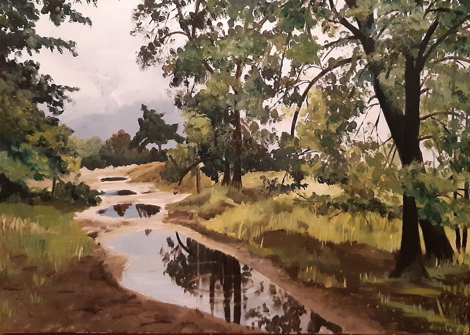 Grenspark Kalmthoutse Heide na een nat voorjaar