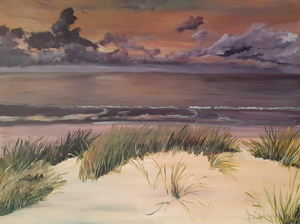 Ons land en het buurland in al hun aspecten