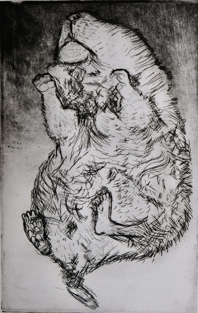 Hemelgang van de marmot 1