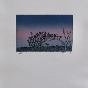 Etsen naar foto's van Masahisa Fukase