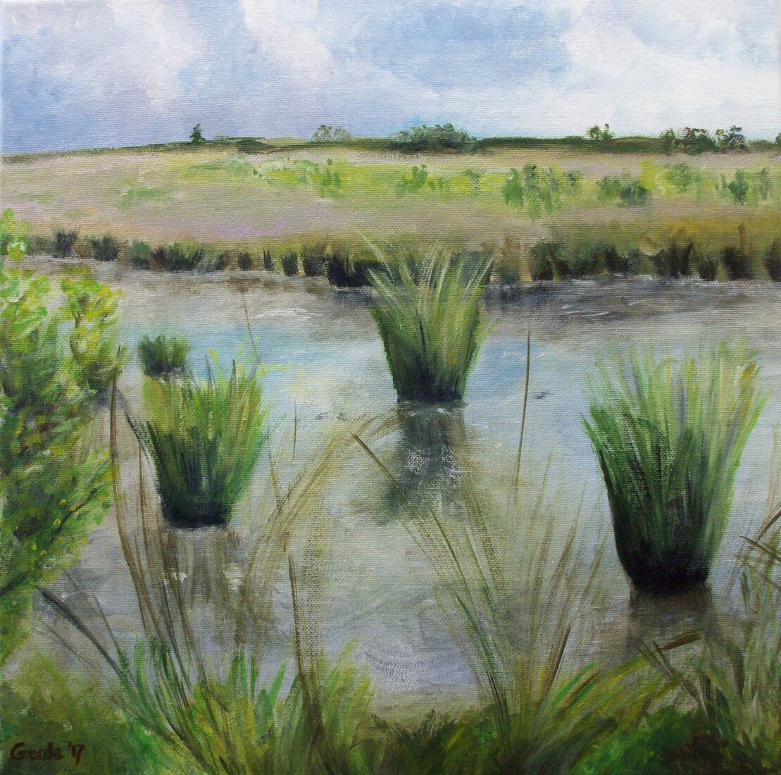 Grenspark Kalmthoutse Heide - Pluisven deel 2