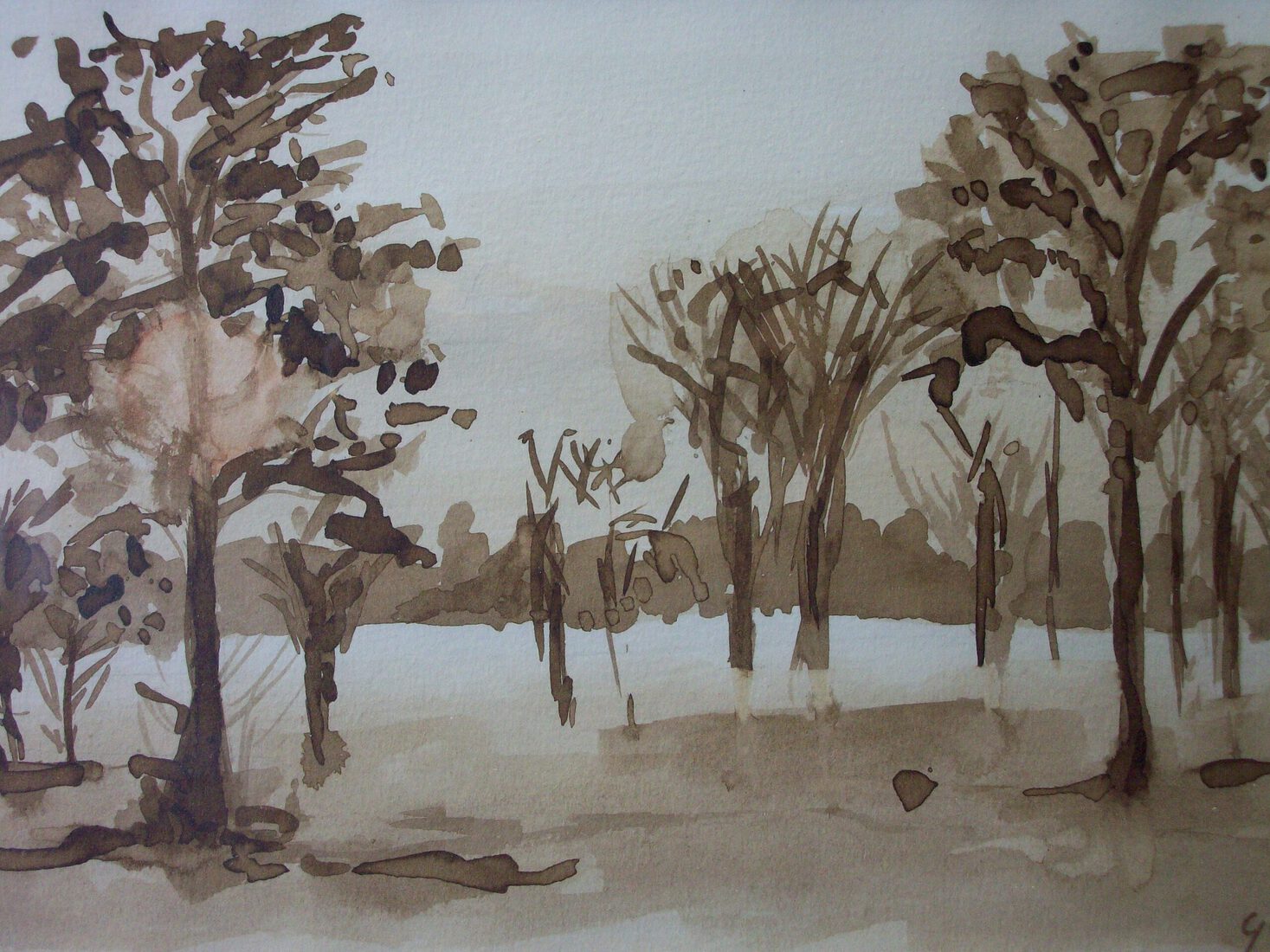 Grenspark Kalmthoutse Heide - Bos