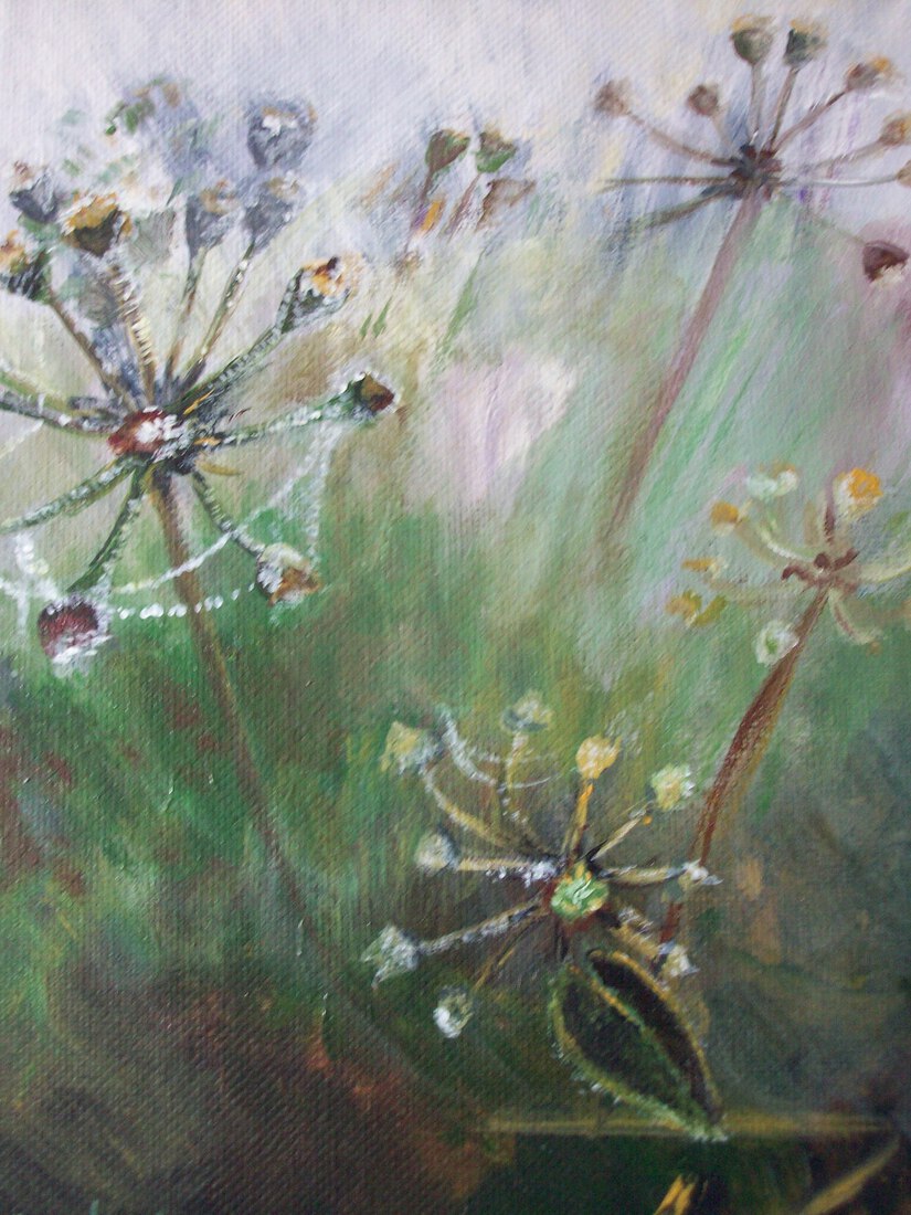 Rijp in close-up  Deel 2/3