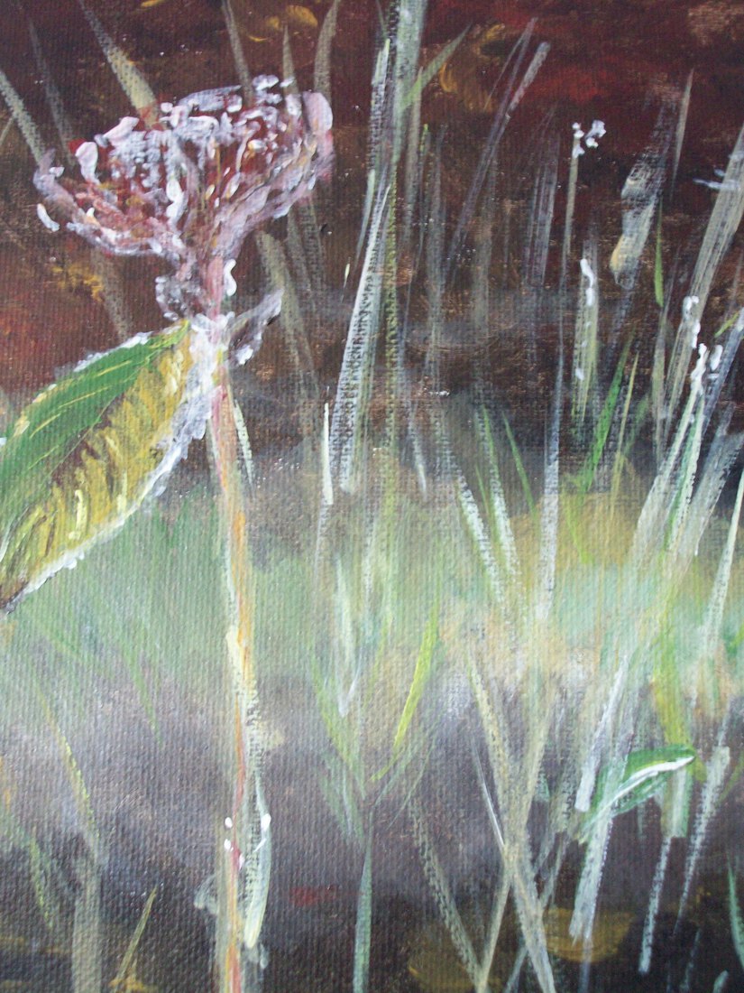 Rijp in close-up  Deel 3/3