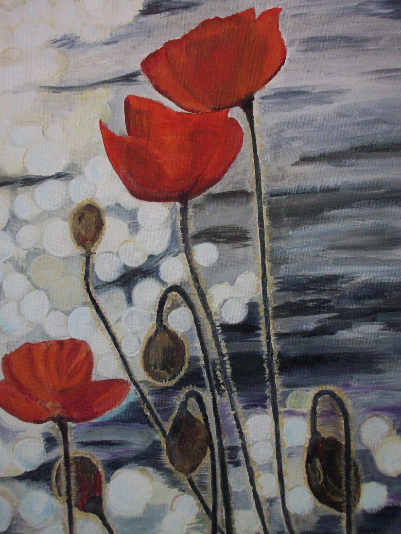 Klaprozen bij zonsondergang