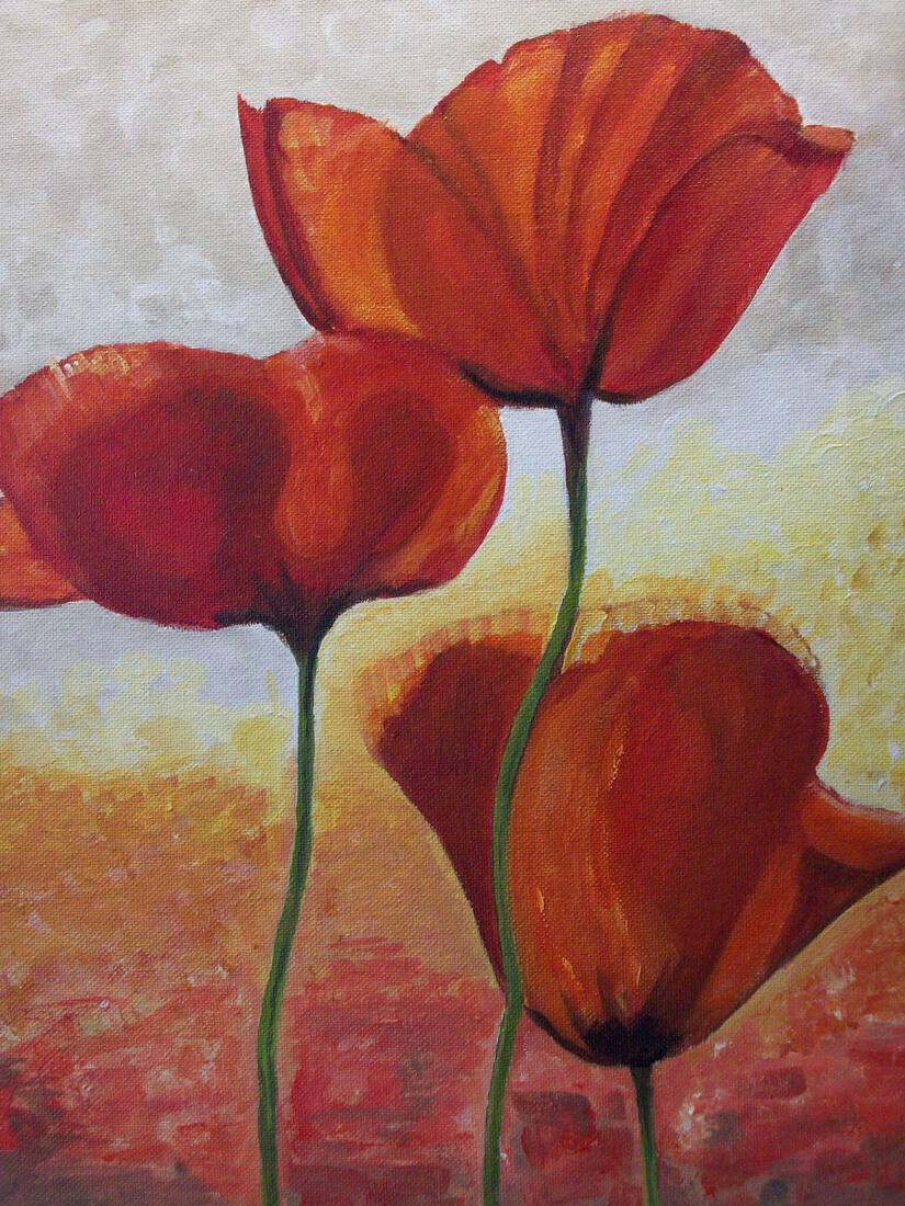 Klaprozen in het zonlicht