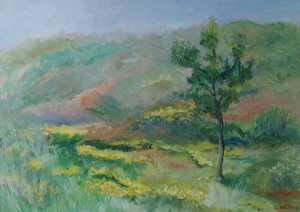 Tijdens de vakanties in Frankrijk was ik gepassioneerd door de prachtige natuur, de pittoreske dorpen, de gezellige markten en de 1001 gezichten van de landschappen.