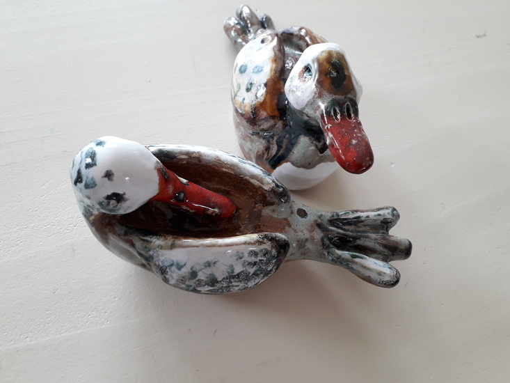 eendenpaartje