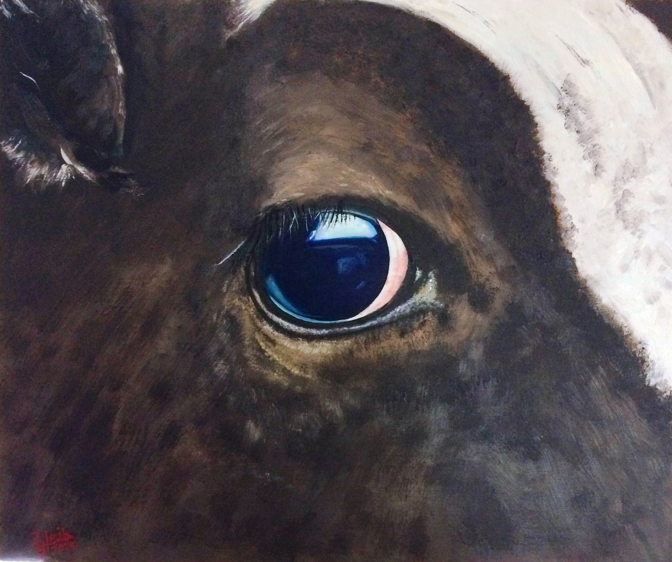  Eye on You 1