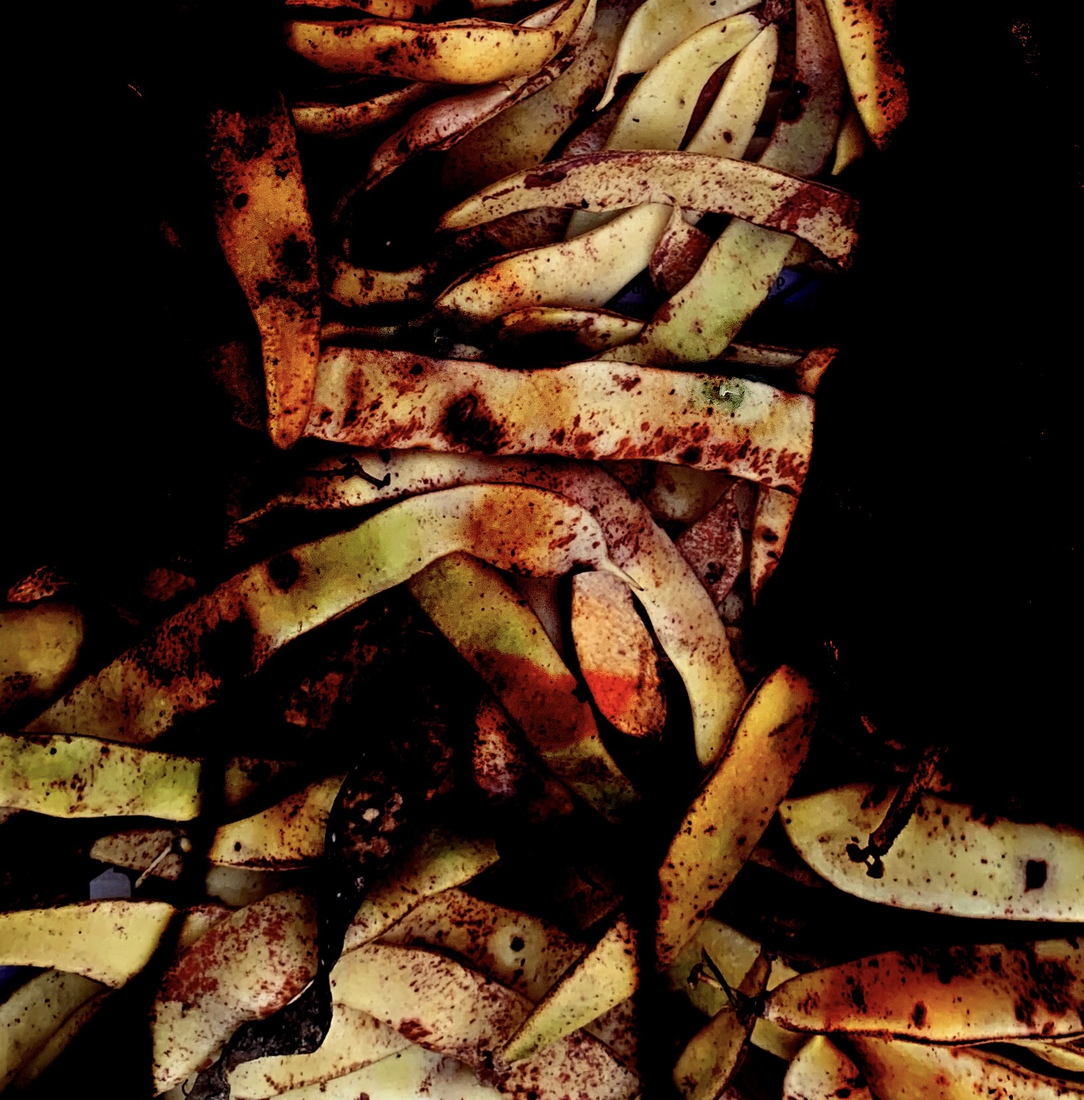 Dark fields 