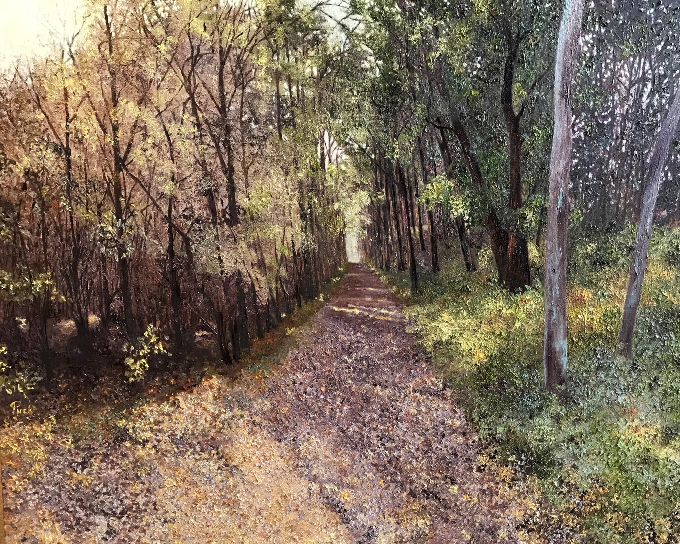 De Pluimpot, het bospad in november