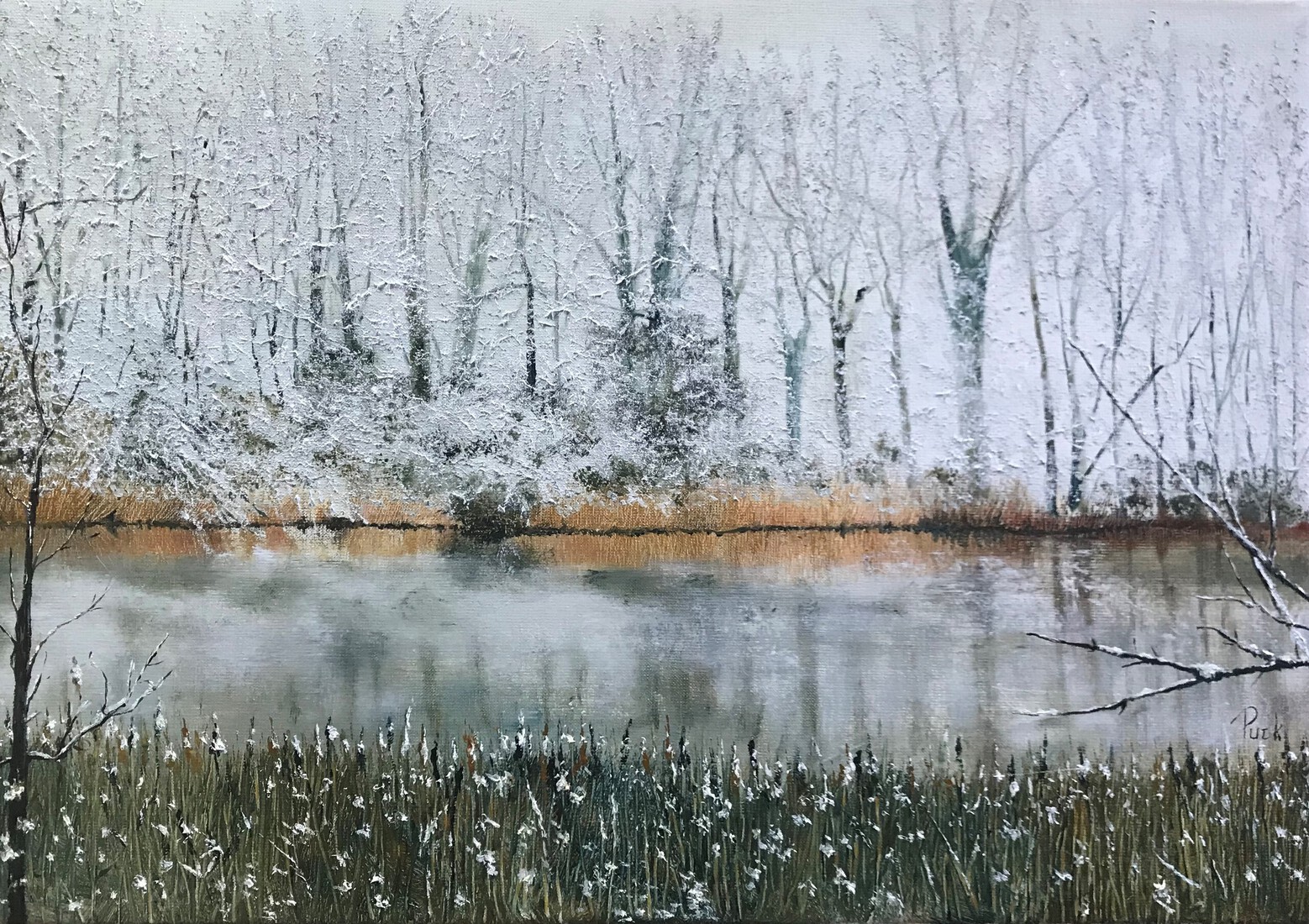 Sneeuw in De Pluimpot