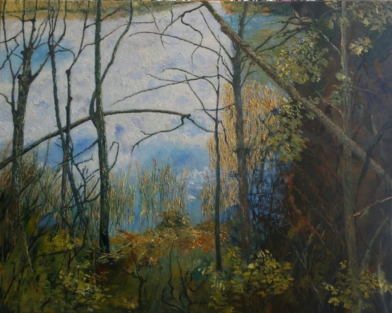 De Pluimpot, het ijsvogelbosje