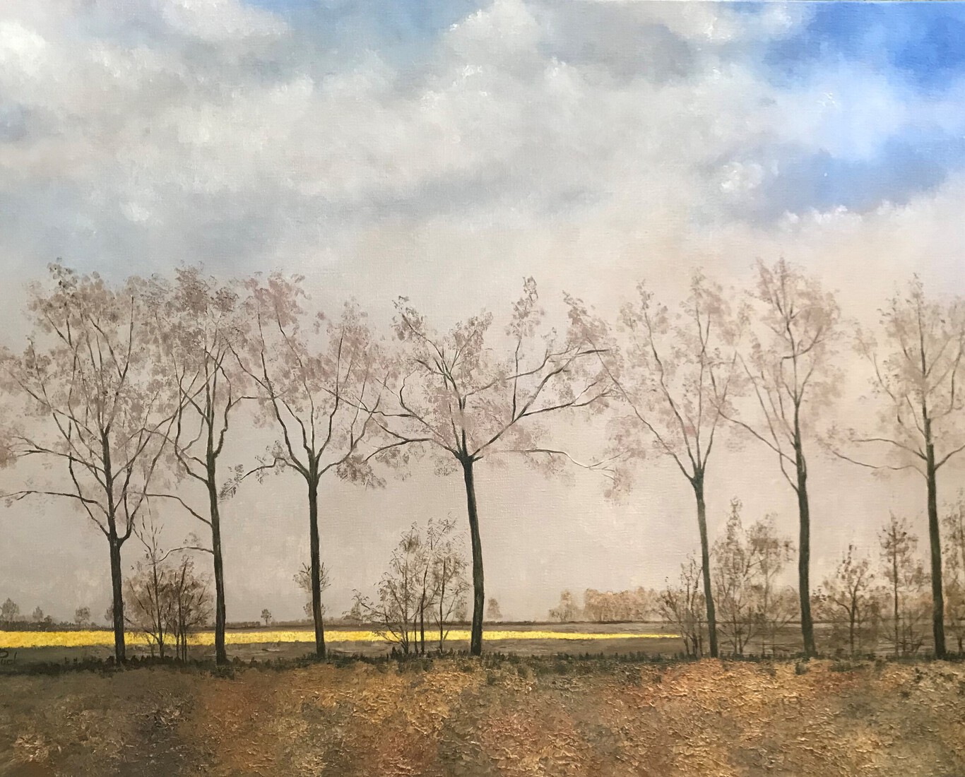 Tulpen uit Poortvliet