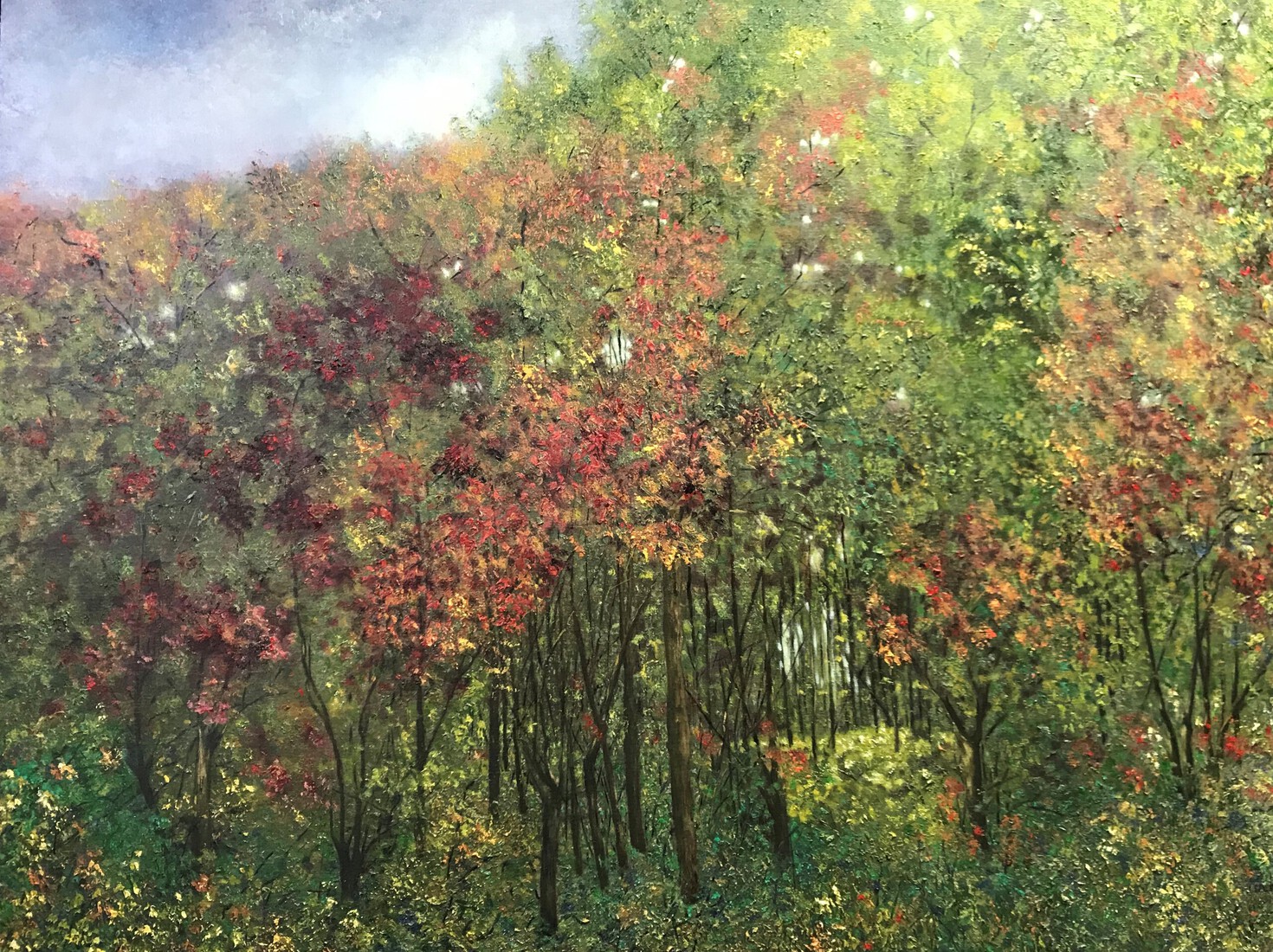 Herfst in het dorpsbos