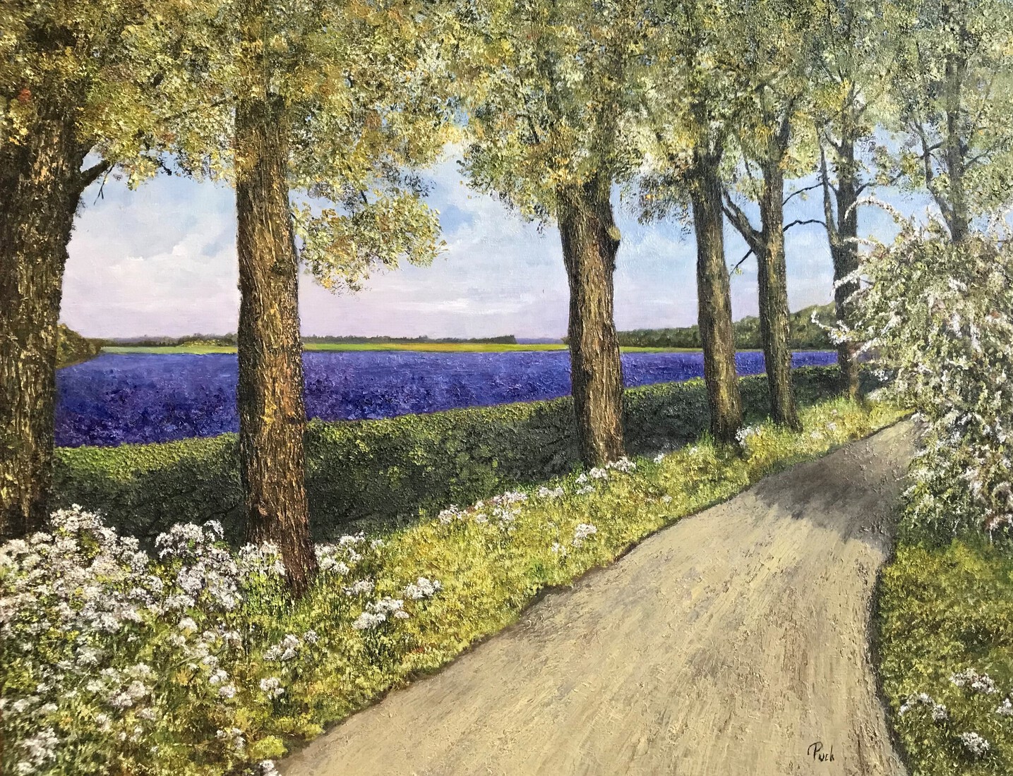 Bloemenveld langs de Veerdijk in mei