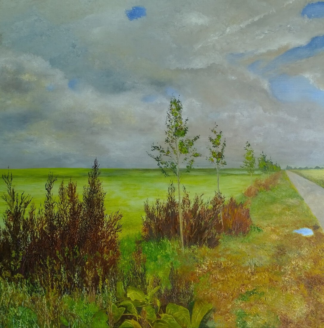 De weg naar Stavenisse