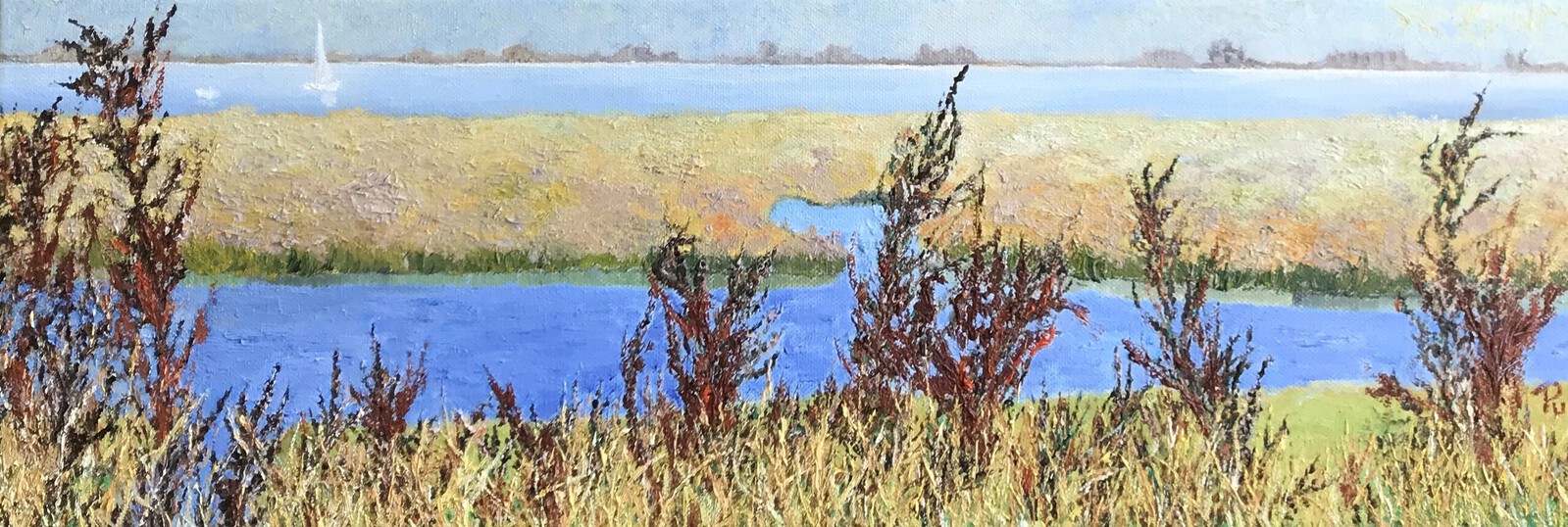 De schorren bij Sint-Annaland