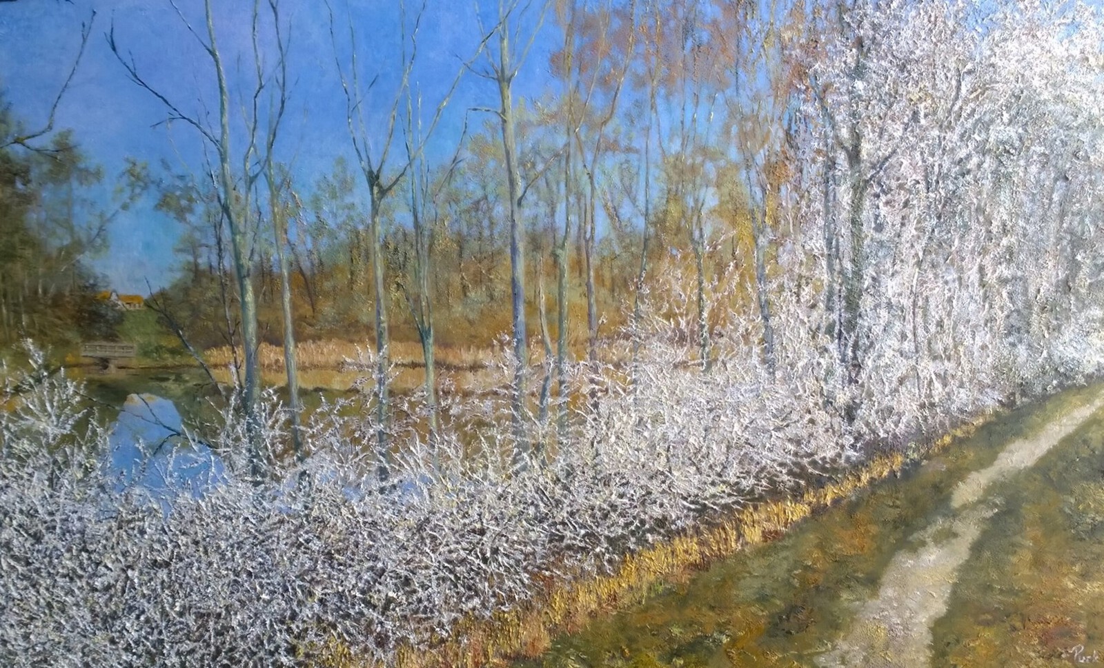 De Pluimpot, sleedoorn langs het schelpenpad