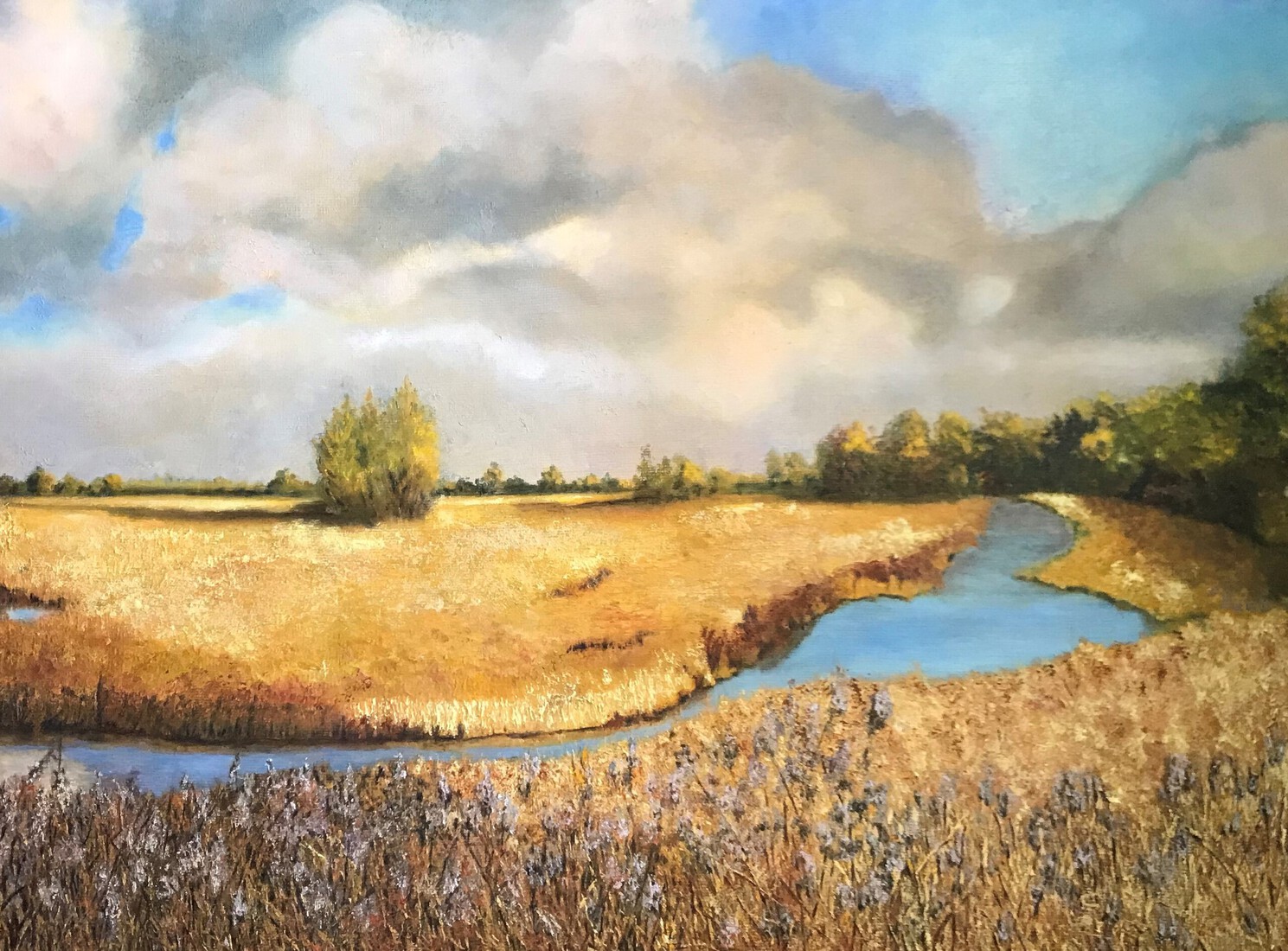 De Pluimpot, januari