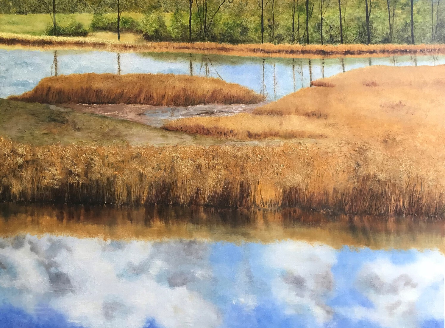 Pluimpot, vogeleiland