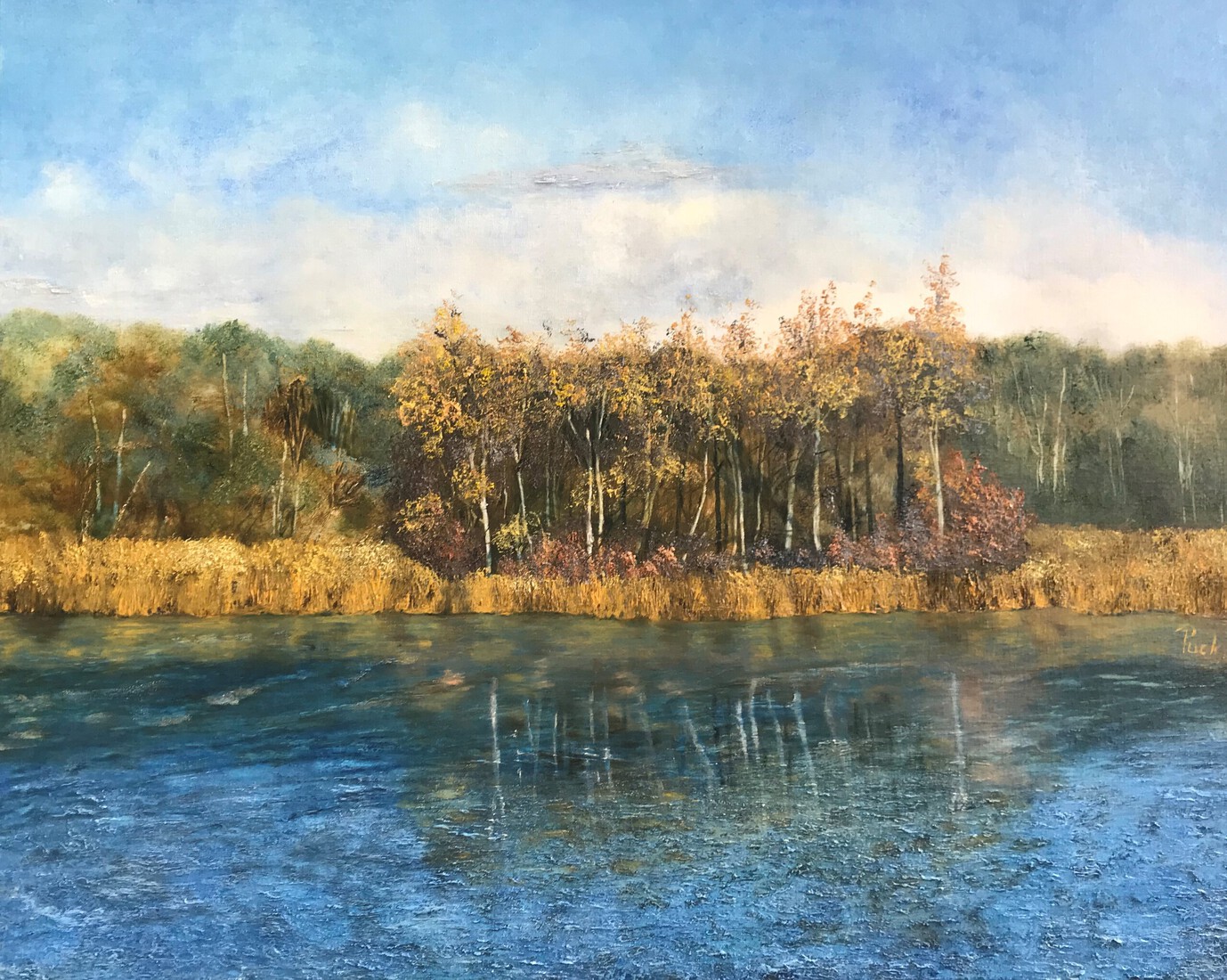 Eiland in de Pluimpot