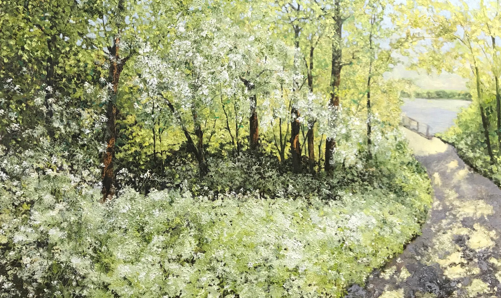 Fluitenkruid in de Pluimpot