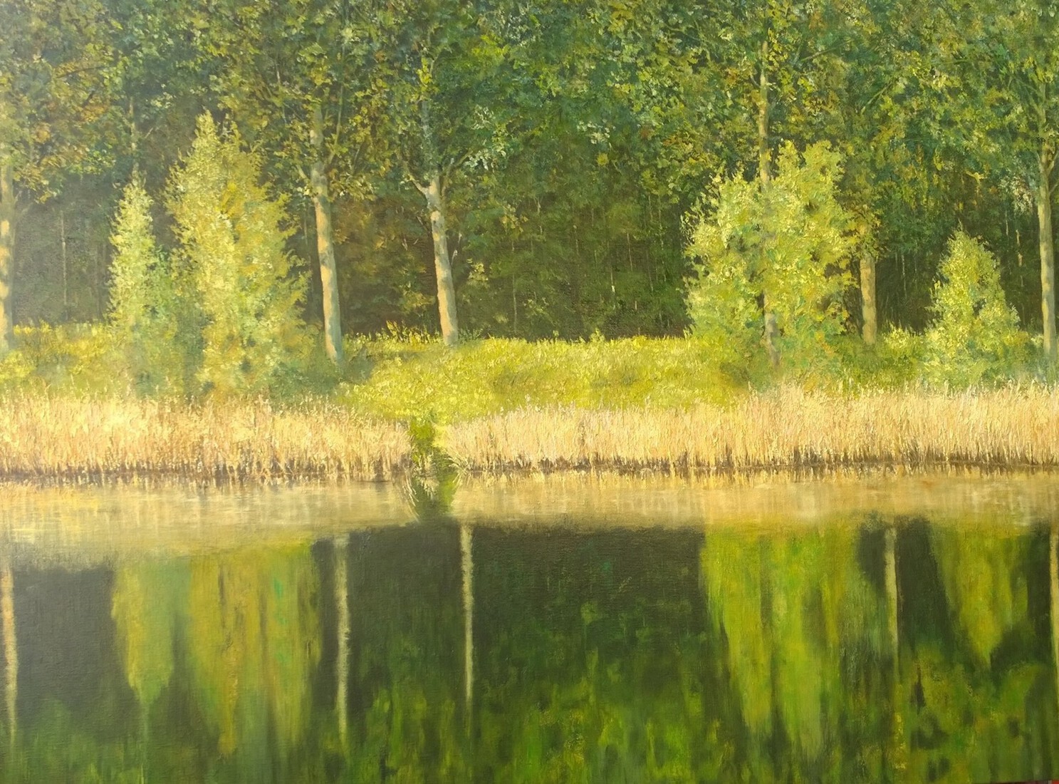 De Pluimpot in groen