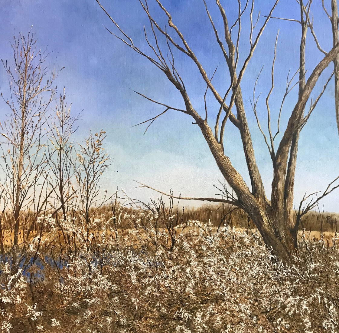 Een mooie dag in maart.