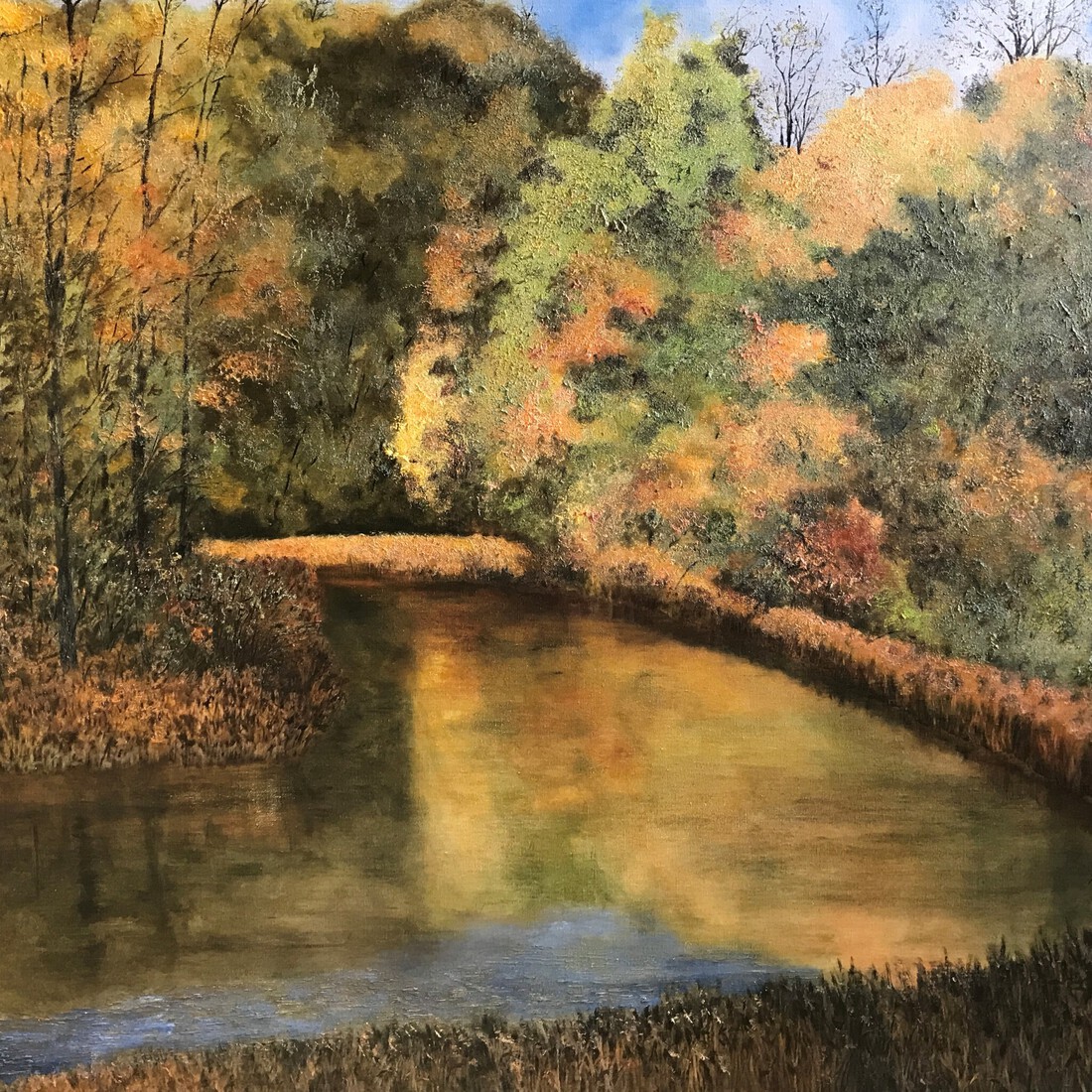 De Pluimpot, de Wal in november