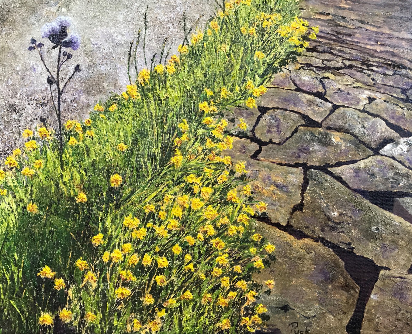 Pad langs de Oosterschelde