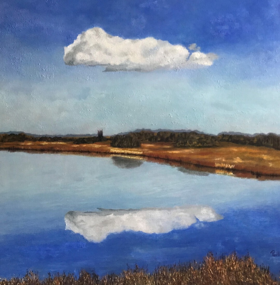 De Pluimpot, wolkje.