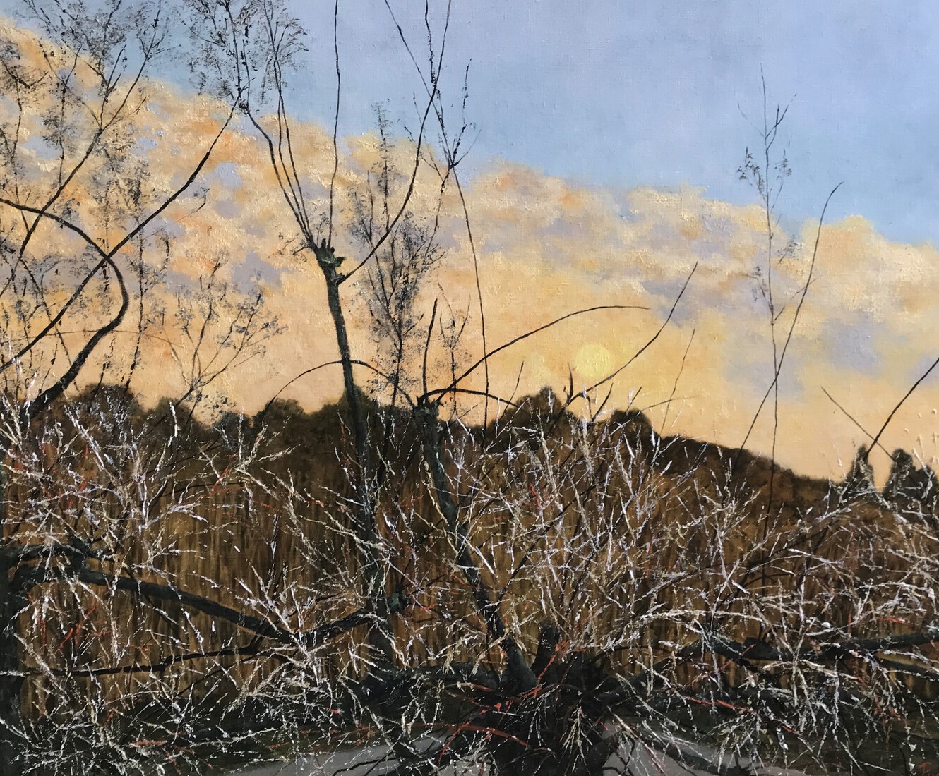 Berijpte wintermorgen