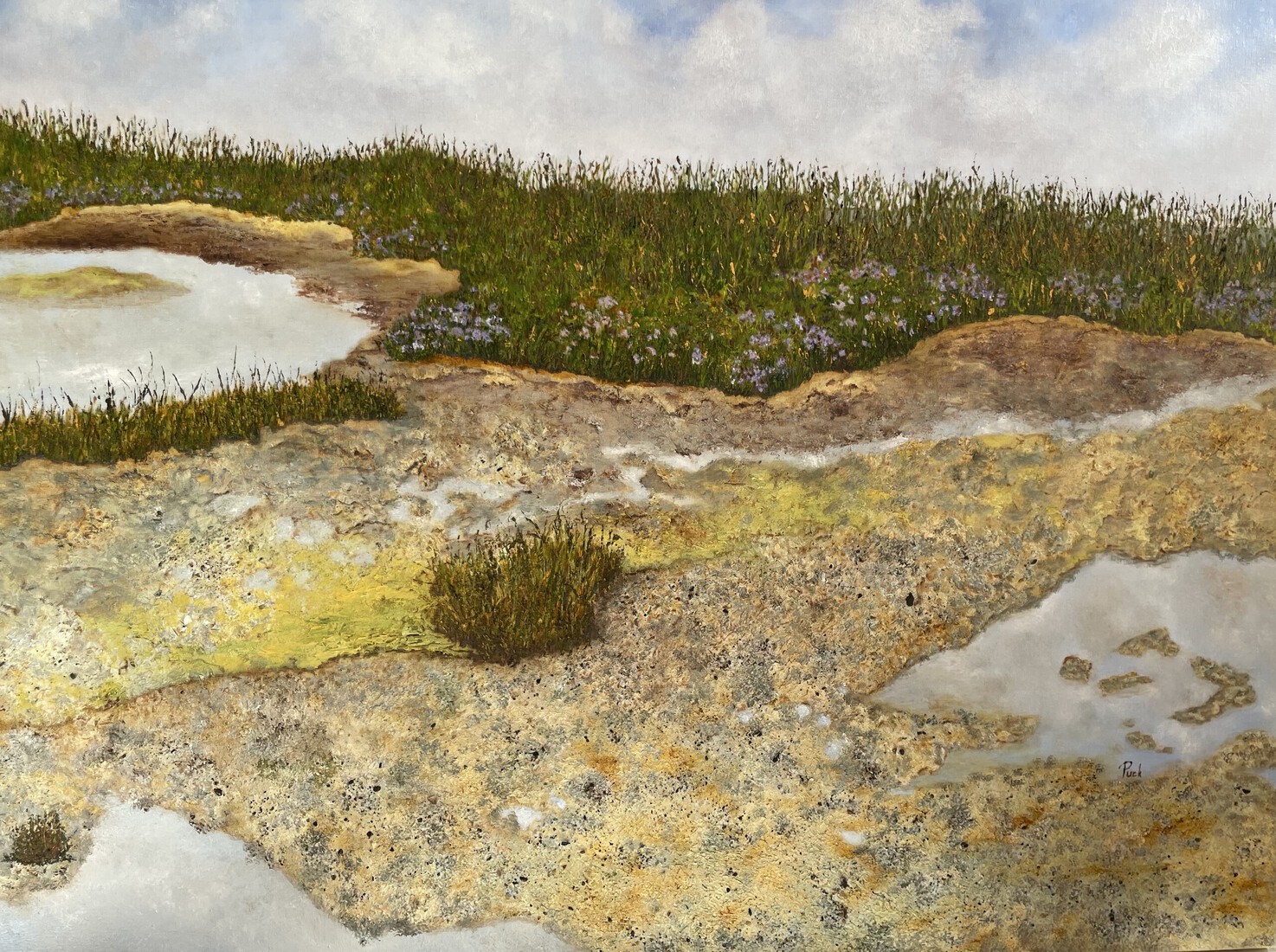 Slikken en schorren van Den Dortsman