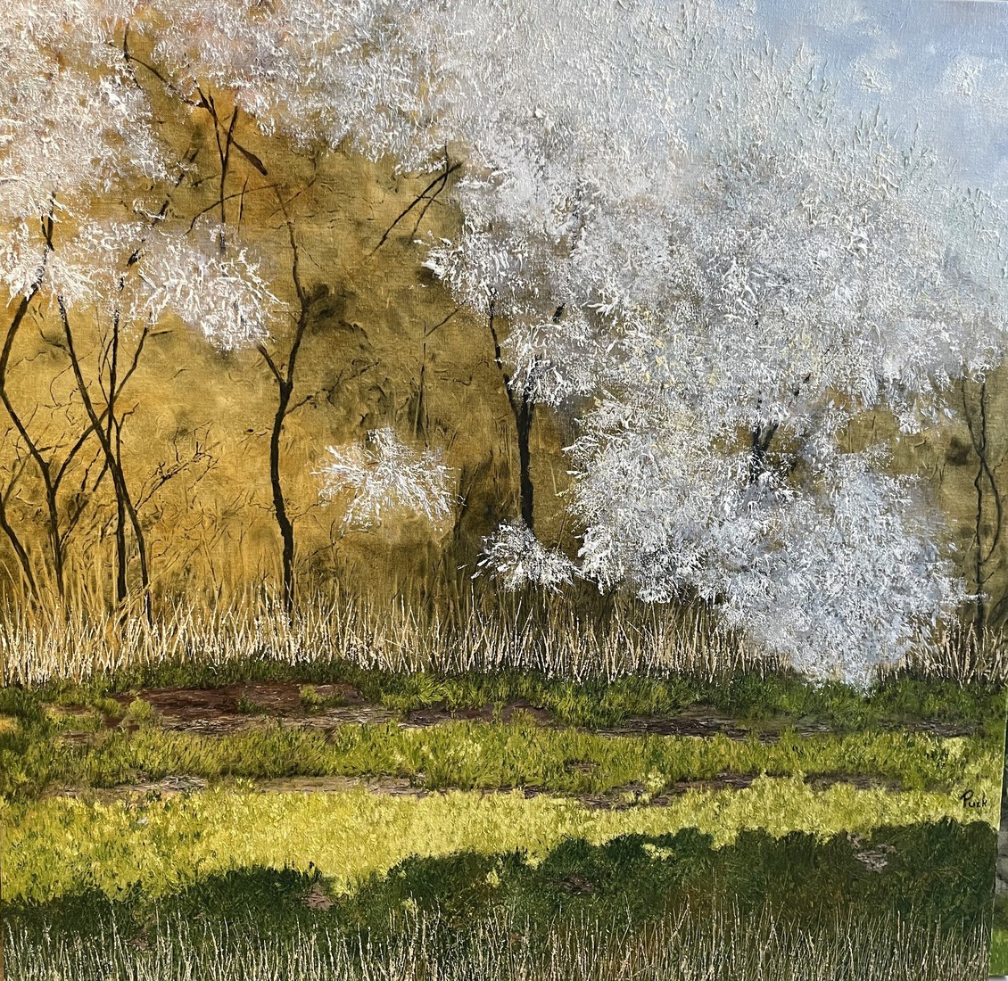 Lenteverrassing aan het Galgepad