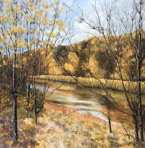 De Pluimpot is een voormalige zeearm bij Sint-Maartensdijk, afgedamd na de Watersnoodramp in 1953.  Nu een natuurgebied.
