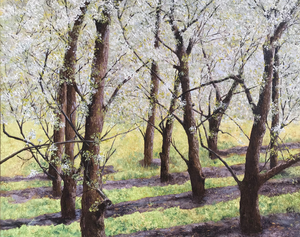 Verschillende landschappen op het eiland Tholen. 