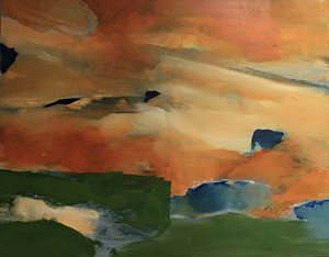 Ik creeer landschappen die geen landschappen zijn